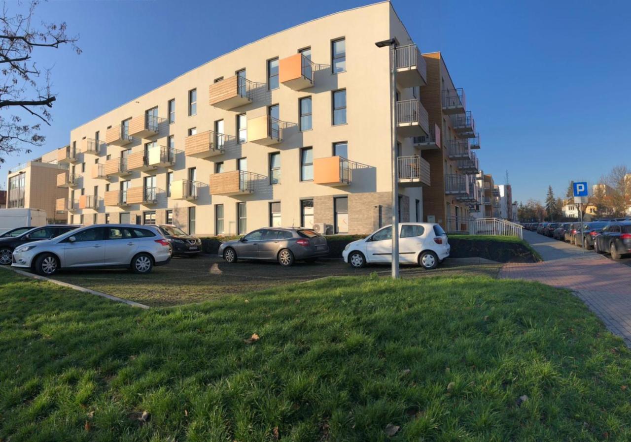 Gingerbread Apartment Stary Toruń Zewnętrze zdjęcie